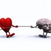 Heart vs Head